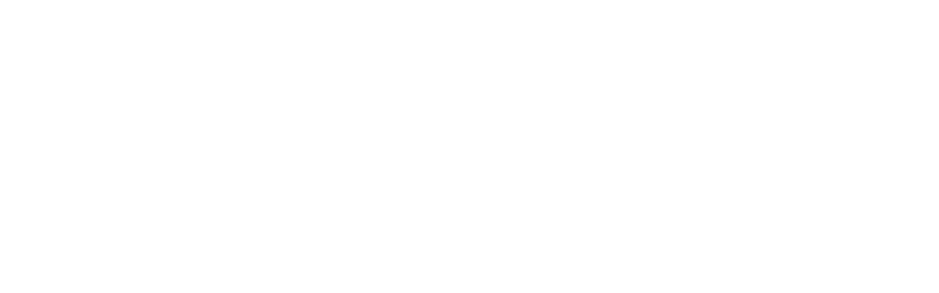 vcti horizontal logo 1 white transparent  azo font